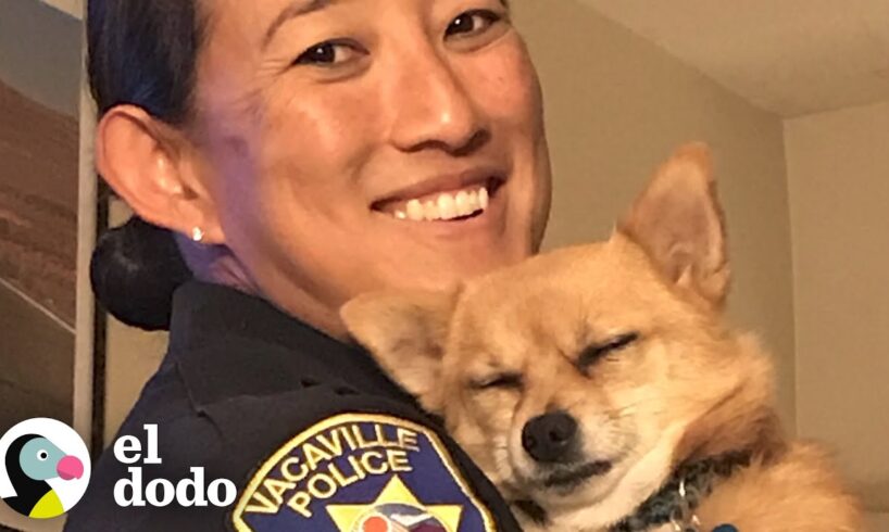 Policía rescata a 60 animales de un fuego | El Dodo
