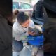 Pregnant Pittie Rescued From Chain Has 13 Puppies | The Dodo
