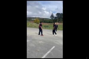 Random street fights I found off of reddit