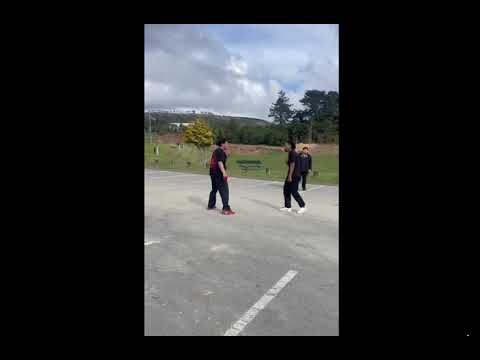 Random street fights I found off of reddit
