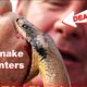 Real Snake Encounters You Won't Believe