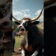 Rescue Team Saves Cow Covered in Honeycomb 🐄🍯❤️ #rescue #animals #shorts #animalrescue