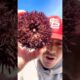 Rescuing Cute Spikey Sea Animal! #animals #nature #short