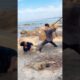 STREET FIGHT, SELF DEFENSE 00197  #ytshort #ytshorts #yt #comedy #video #viralvideo #Viralshorts