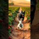 Shocking Escape 😱 Brave Rabbit Rescues Helpless Kitten From Cruel Farm 🐰 #shorts #RabbitRescue