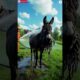 Shocking Rescue Story: A Donkey presumed dead rescued by an animal rescue team | Animals Rescue