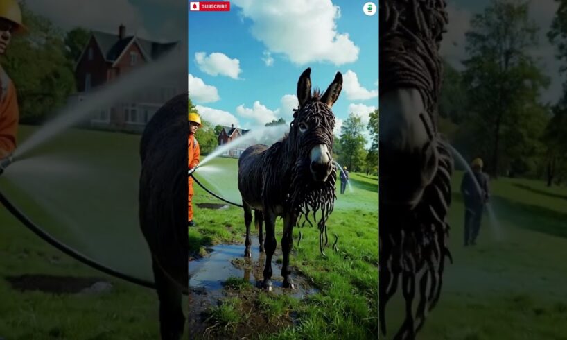 Shocking Rescue Story: A Donkey presumed dead rescued by an animal rescue team | Animals Rescue