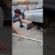 Stray dog ​​trapped under car #shorts #dog #doglife #kindness #animals #viralvideo