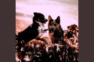 Successful Backdrops for Cute Puppies