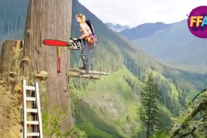 TOTAL IDIOTS AT WORK | Instant Regret Fails Compilation | Best fail of the week😂 #64