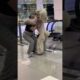 TRY NOT TO LAUGH UNTIL THE END!! 😂 😂😂 Funny Dogs #funnydogs #funny #dog