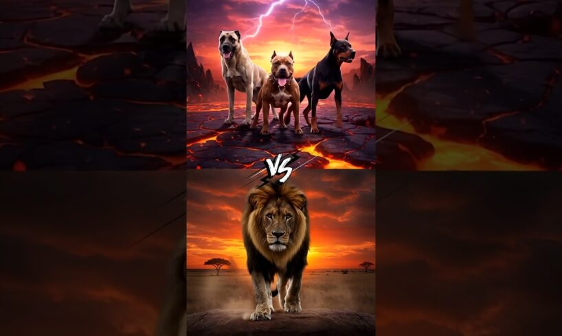 Team of Kangal, Pitbull and Doberman vs Lion vs (Tiger, Jaguar, Bear, Wolf, Hyena, Crocodile) Battle