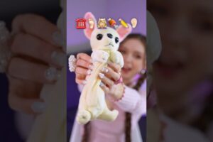The CUTEST PUPPY THINGS I SPOTTED #puppy #rate #things #haul #unboxing #unpacking 2505-02A