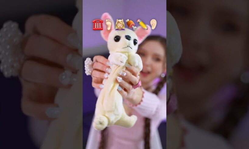 The CUTEST PUPPY THINGS I SPOTTED #puppy #rate #things #haul #unboxing #unpacking 2505-02A
