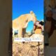 The man reunited to the rescued lion cub after 10 years...