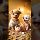These cute puppies are giving their all to achieve success! 🐶💪 #shorts #cutedog #bhookapuppy