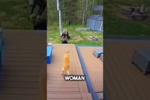 This dog saves his owner at the last moment🥺❤️#shorts