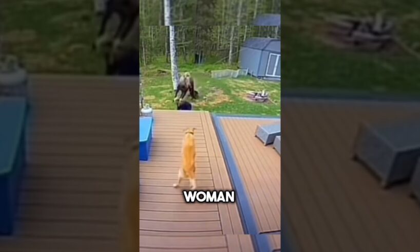 This dog saves his owner at the last moment🥺❤️#shorts