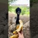 This woman found a strange green egg and incubated it until ...