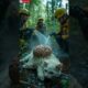 Thrilling Journey: A Cat presumed Dead rescued by an animal rescue team | Animals Rescue
