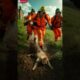 Thrilling Journey of a Cat Presumed Dead rescued by an animal rescue team | Animals Rescue
