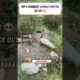 Top 5 Funniest Animal Fights Caught on Camera😂#funny#funnymemes #animals #funnyanimals#trynottolaugh