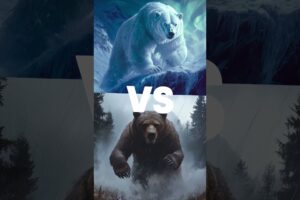 Ultimate Animal Fights: Jaguar vs. Cheetah, Kodiak Bear vs. Polar Bear & More!