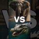 Ultimate Asian Animal Battles 🐅🐘 | Who Is the Real King of Asia? #animals #wildlifeentertainment