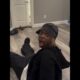 Unexpectedly Funny Fails 🤣 Best Fails of the Week