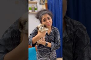 Varshini ku surprise puppy ❤️ #swv #tamil #ishqyouall #trending #youtube #comedy