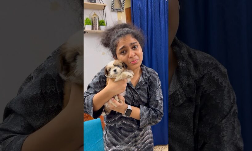 Varshini ku surprise puppy ❤️ #swv #tamil #ishqyouall #trending #youtube #comedy
