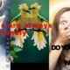 Why Animals Are So Nice animals  animal rescue
