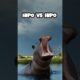 Wild Animal Fights Caught on Camera Nature’s Ultimate Battles pt-2#youtubeshorts #facts #shortsfeed
