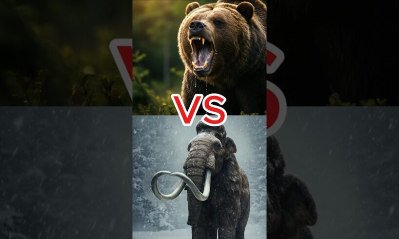 Woolly Mammoth vs Rhino, Gorilla & More | Epic Animal Battles! 🦣🔥