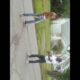 Youngstown hood fights