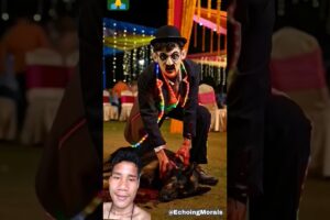 Zombie v/s Dog in wedding#zombie #rescue #dog #saveanimals #trendingshorts #humanity #success