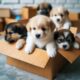 a group of cute puppies #puppy #cute #cutedog #dog