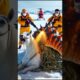 animal rescue  #rescue #animalrescue #animalcare #animalshorts #pets #helpinganimals