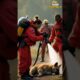 animals rescue videos #wildliferescue #wildlife #shortsfeed #rescueshorts #shortsviral #aishorts #ai