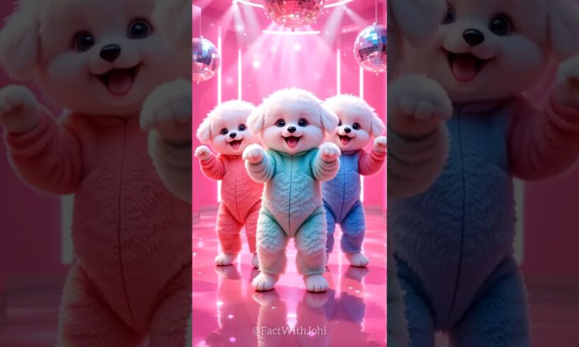 cute puppies crezy dance💃| #funnyvideo #cutepuppy #funnyanimals #viraldance #trending #504