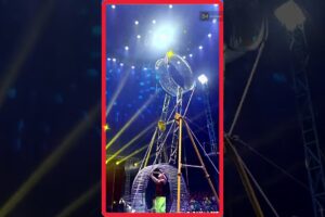 funny video. people are awesome.  funny Blogger.  #circus #funnyvideos #funnyshorts #dailylife