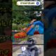 hilarious fails