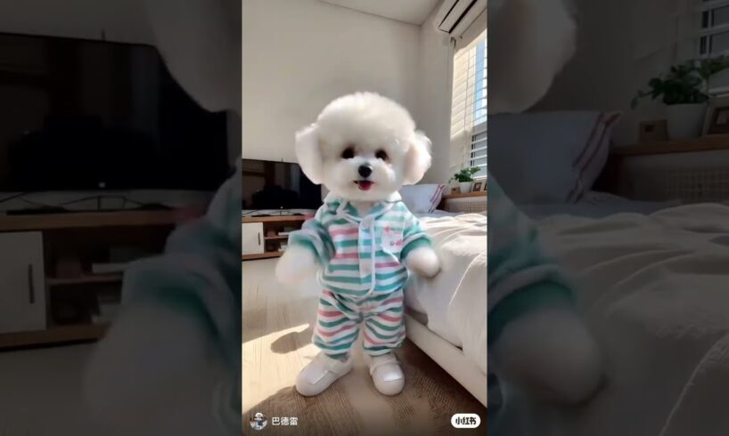 little cute puppies #viralvideo #cutedogs #trending #ai #aidog #shorts #shortvideo #foryou #fyp