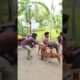 new #trending #funny #shorts  #funnyshorts #funnyvideo #comedy #comedyshorts #viralvideo
