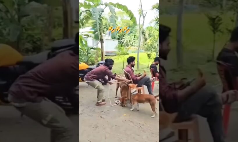 new #trending #funny #shorts #funnyshorts #funnyvideo #comedy #comedyshorts #viralvideo