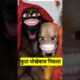 कुता देखेबाज निकला #thetharpuns #funny #shilpisaroja #comedy