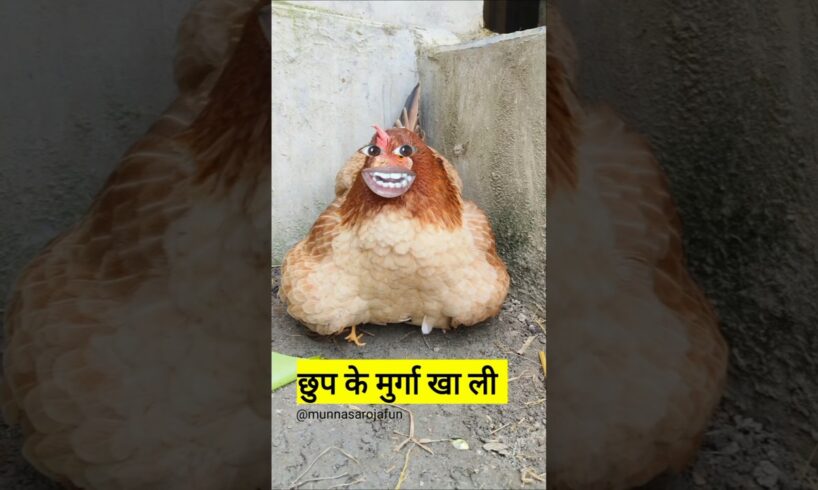 छुप के मुर्गा खा ली #comedy #thetharpuns #shilpisaroja #funny
