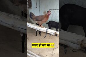 ज्यादा हो गया था #funny #comedy #thetharpuns #facts #jokes #cartoon