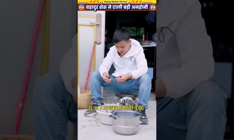 बहादुर शेरु ने टाली बड़ी अनहोनी 🙏 #animal #animalrescue #animallover #rescue #dog