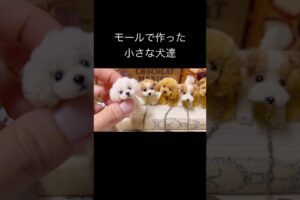 モールで作った小さな犬達 making super cute puppies！ pipe cleaner  dog and Bonnie #モール人形 #モールドール #モールベア #モールアニマル